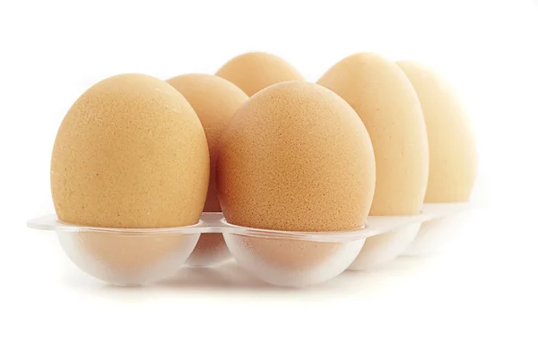 Яйца изолированы — стоковое фото