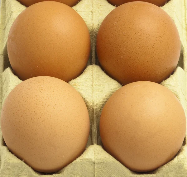 Scatola delle uova — Foto Stock