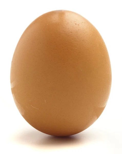 Fresh egg — Stock Photo, Image