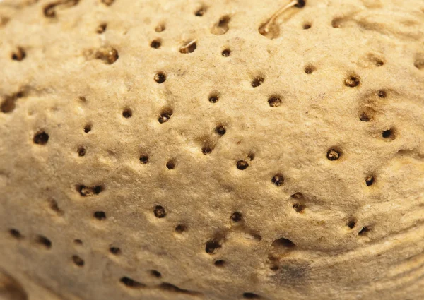 Almendras — Foto de Stock