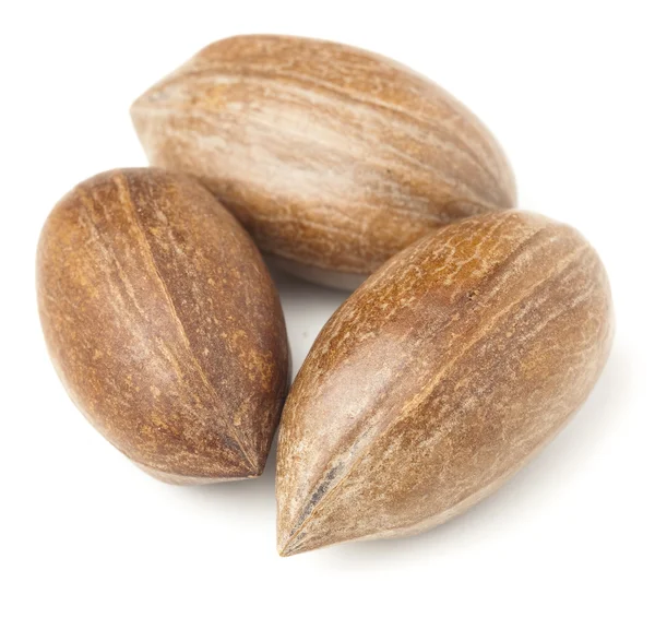 Pecan nuts — Stock Photo, Image