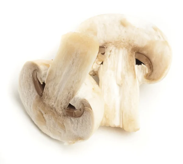 Fatia de cogumelo — Fotografia de Stock