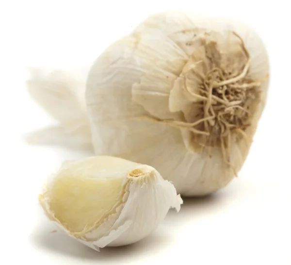 Garlic bulb — Stock Photo, Image