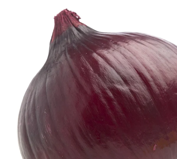 Purple onion — Stock Photo, Image