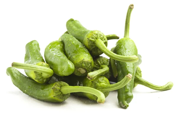 Grønn pepper – stockfoto