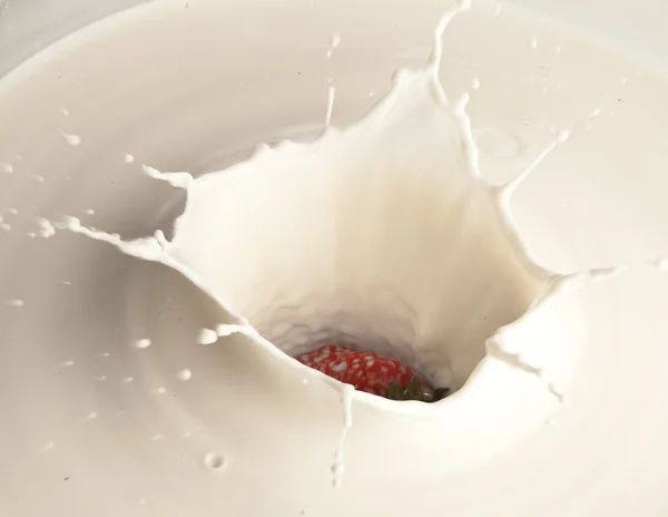 stock image Milk splash