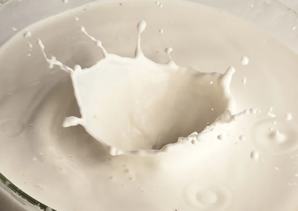 stock image Milk splash