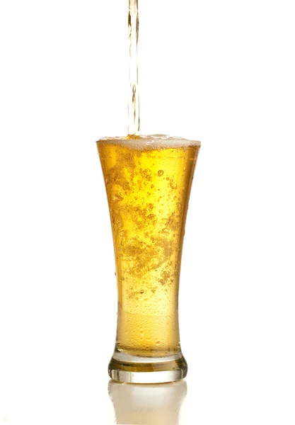맥주 — 스톡 사진