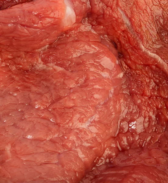 stock image Meat closeup