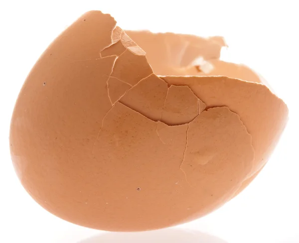 Broken egg shell — Stok fotoğraf