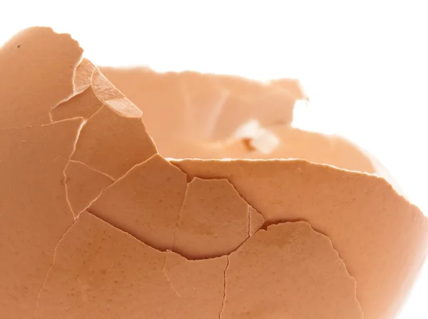 Coajă de ou spartă — Fotografie, imagine de stoc