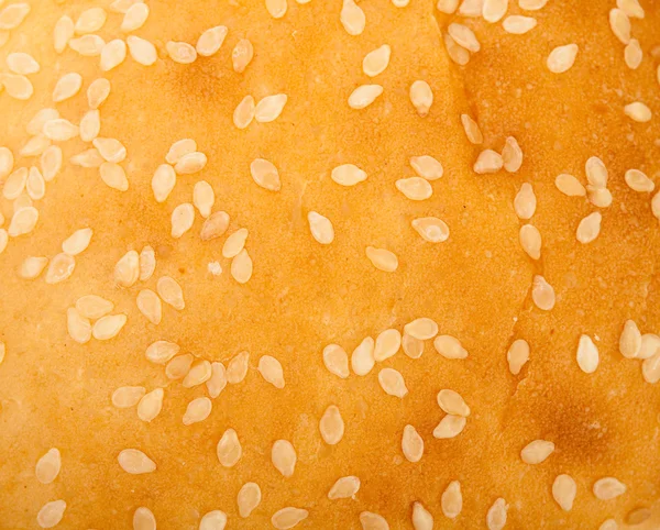 stock image Burger bread texture