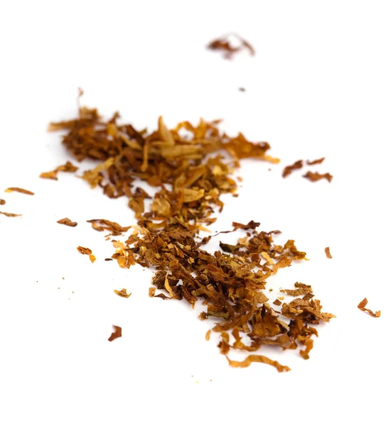 stock image Tobacco
