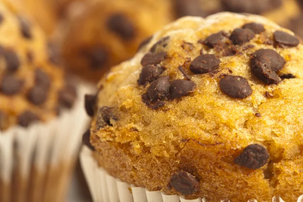 Muffins au chocolat — Photo