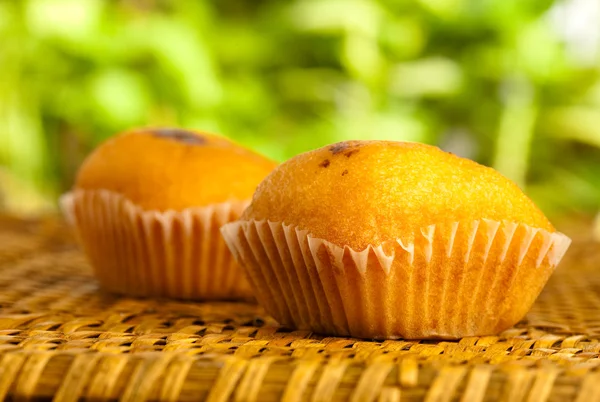 Muffin på wicker — Stockfoto