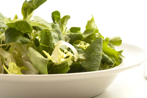 Lettuce on dish — Stock Photo, Image