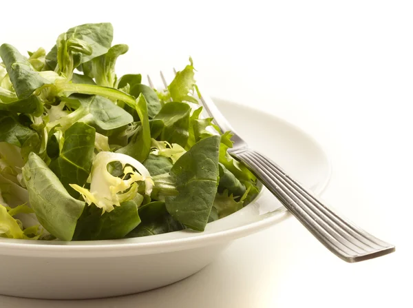Lettuce on dish — Stock Photo, Image
