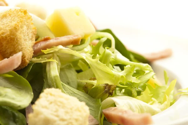 Sallad — Stockfoto