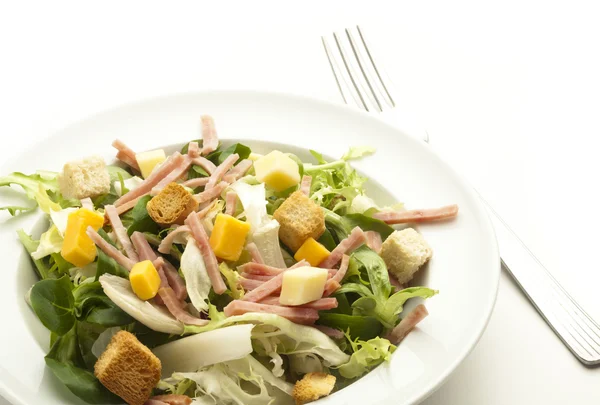 Gabel und Salat — Stockfoto