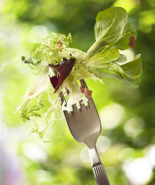 Fork and salad — Stock Photo, Image