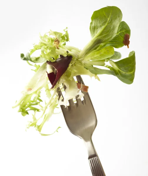 Garfo e salada — Fotografia de Stock