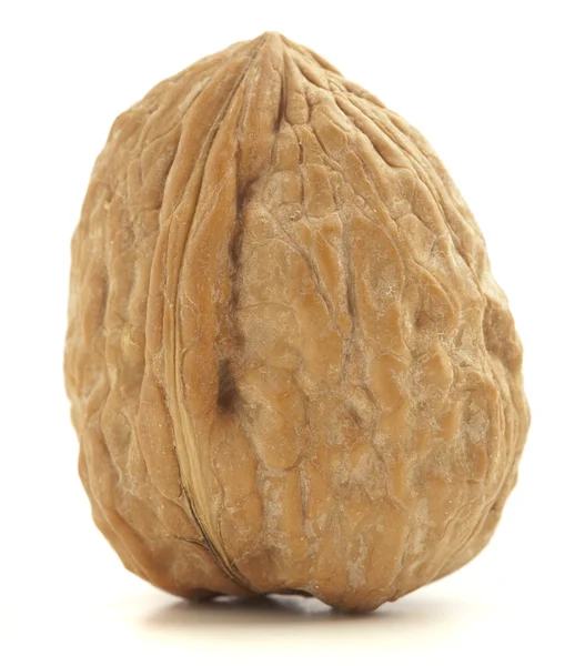 Wallnut — 图库照片