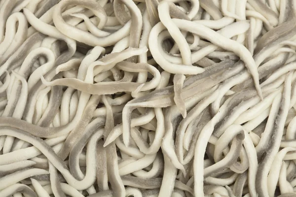 stock image Baby eels