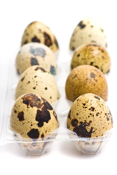 Huevos de codorniz aislados — Foto de Stock