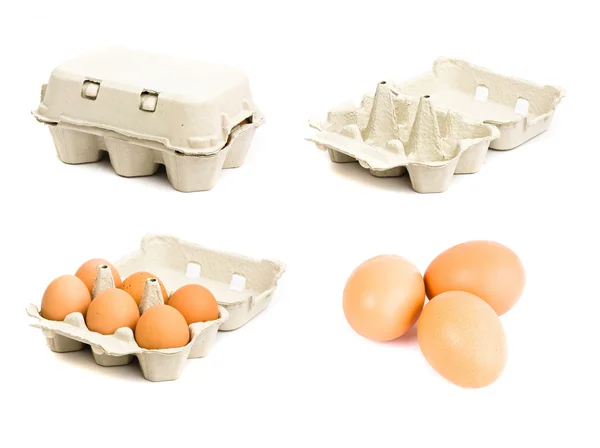 stock image Eggs