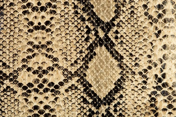 Textura de cobra — Fotografia de Stock