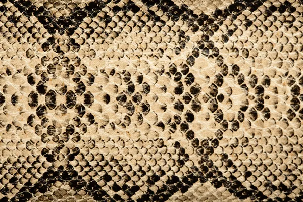Textura de cobra — Fotografia de Stock