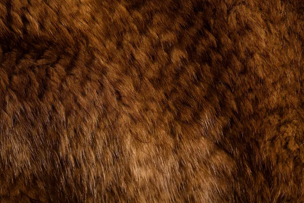 stock image Mink texture