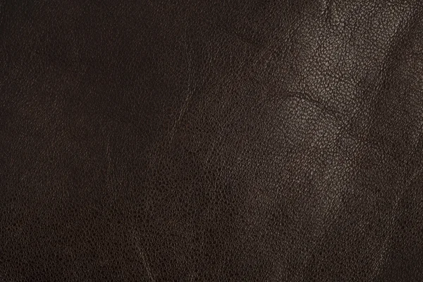 stock image Leather texture