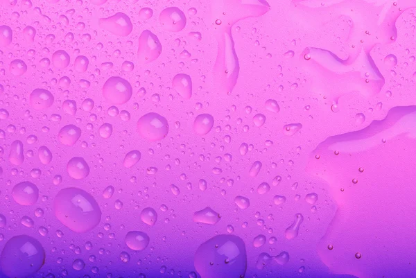 stock image Water drops