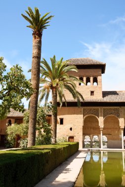 Granada'da alhambra kulesinde bayanlar