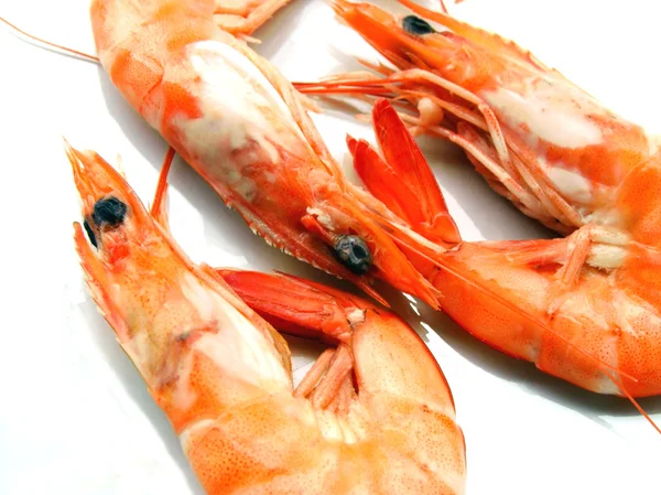 Three shrimps — Stockfoto