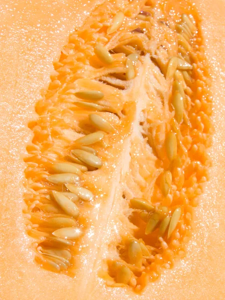 Melone Nahaufnahme — Stockfoto