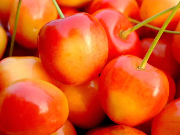 Kétszínű cseresznye — Stock Fotó