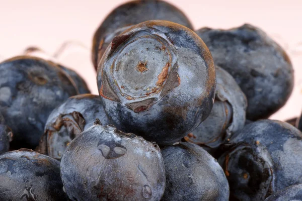 stock image Blueberry macro