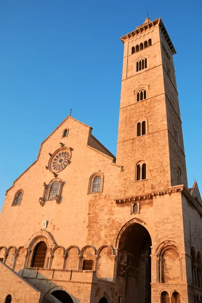 Trani katedrála v západu slunce, Apulie, Itálie — Stock fotografie