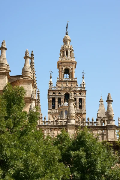 Seville Cathedral detail — Stock Photo, Image