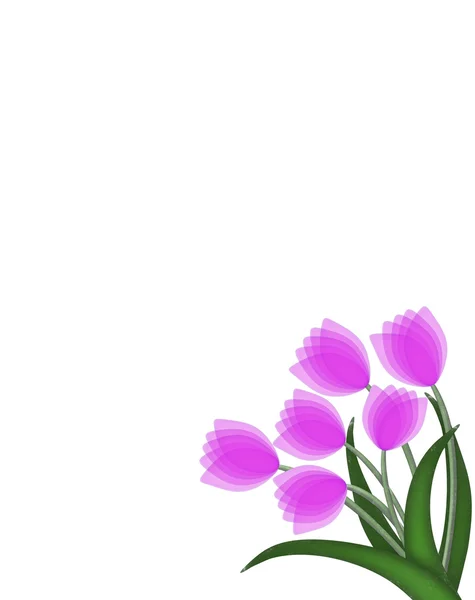 Tulip bouquet background — Stock Photo, Image