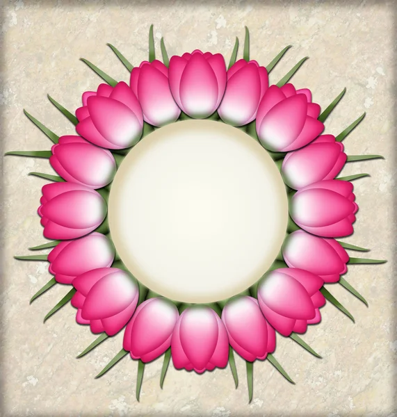 Tulipano cerchio — Foto Stock