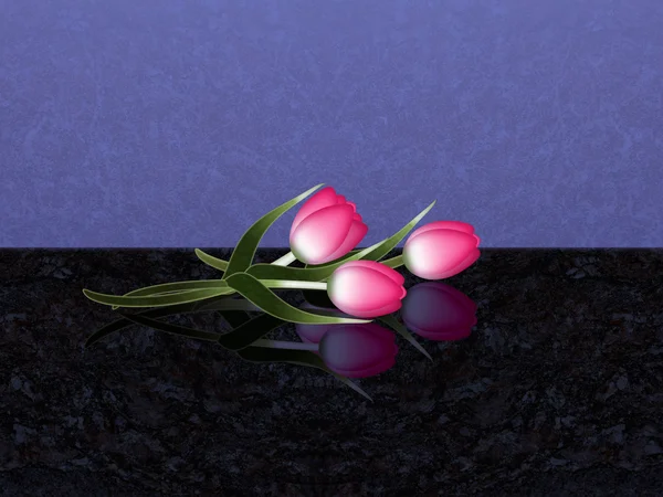 Tulip med reflektion — Stockfoto