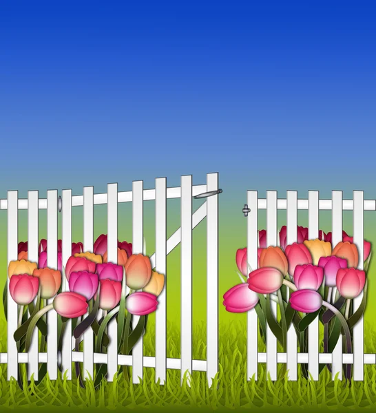 Día soleado en la puerta de la cerca del jardín y tulipanes — Foto de Stock