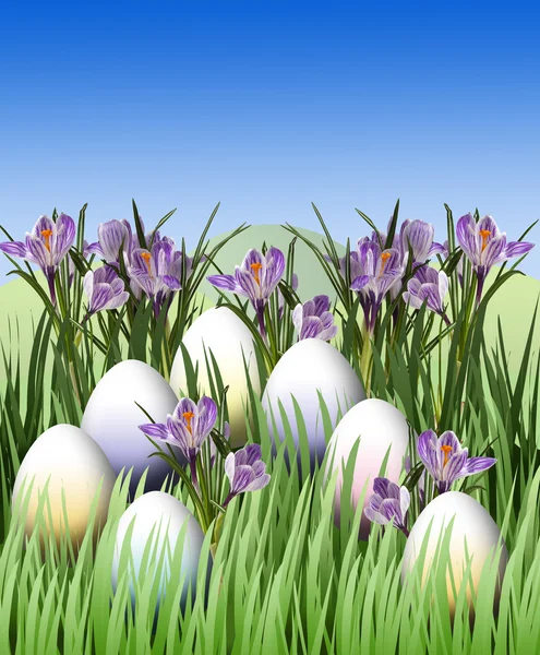 Easter egg and crocus — Stock Photo, Image