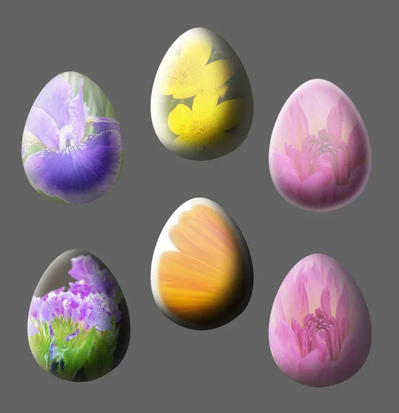 Květina vejce, samostatný — Stock fotografie