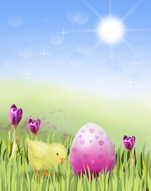 Easter chicken with pink egg and crocus clipart