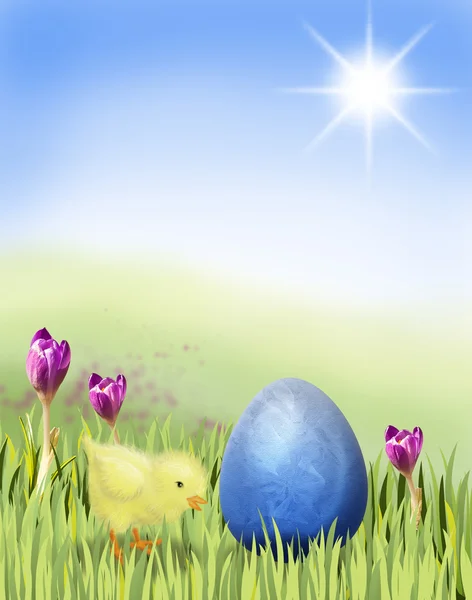 Pollo de Pascua con huevo azul en un prado — Foto de Stock