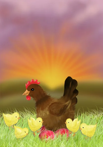 Kyckling och höna i solnedgången — Stockfoto